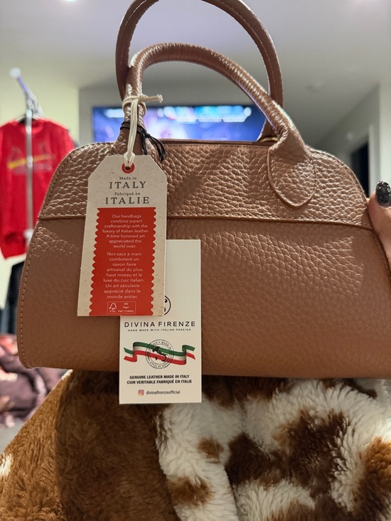 Divina Firenze Handbags - Divina Firenze Blush Pink Pebbled Leather Satchel